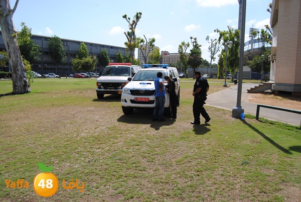 jotha dead yaffa 701 (6).JPG